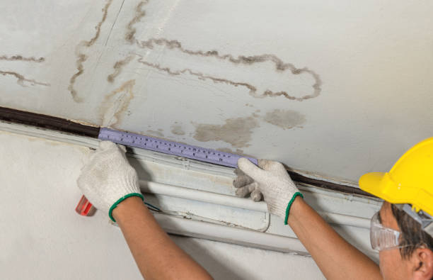 Reliable Basement Water Removal contractor in Covington, GA by Water Damage Irwin